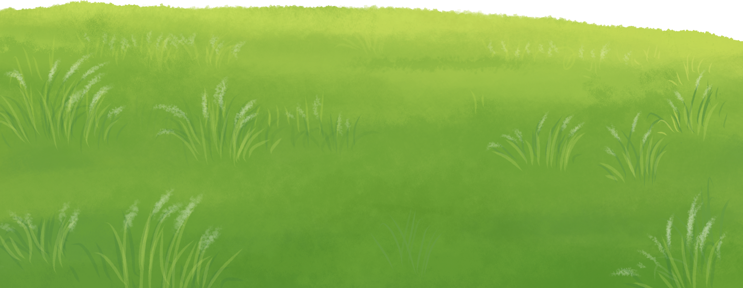 Grass landscape